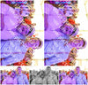 Evenement foto: 2638
