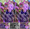 Evenement foto: 2638