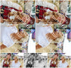 Evenement foto: 2638