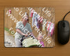 Evenement foto: 2637