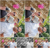 Evenement foto: 2636