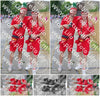 Evenement foto: 2635