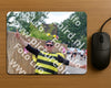 Evenement foto: 2635