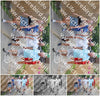 Evenement foto: 2635