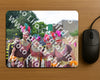 Evenement foto: 2635