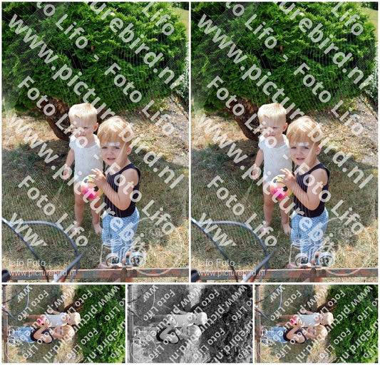 Evenement foto: 2634