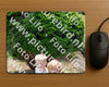 Evenement foto: 2634
