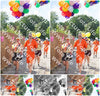 Evenement foto: 2634