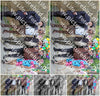 Evenement foto: 2634
