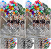 Evenement foto: 2634
