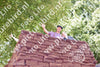 Evenement foto: 2629