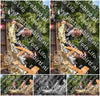 Evenement foto: 2629