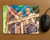 Evenement foto: 2629