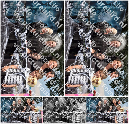 Evenement foto: 2629