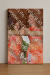 Evenement foto: 2629