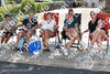 Evenement foto: 2629