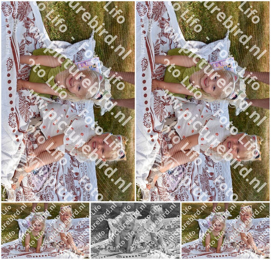Evenement foto: 2626