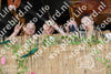 Evenement foto: 2624