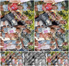 Evenement foto: 2624