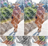 Evenement foto: 2623