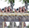 Evenement foto: 2622