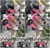 Evenement foto: 2622