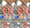 Evenement foto: 2622