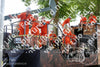 Evenement foto: 2622