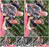 Evenement foto: 2621