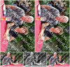 Evenement foto: 2621