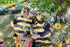 Evenement foto: 2621