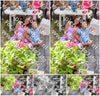 Evenement foto: 2620
