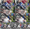 Evenement foto: 2620