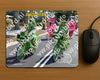 Evenement foto: 2620