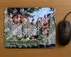 Evenement foto: 2620