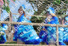 Evenement foto: 2620