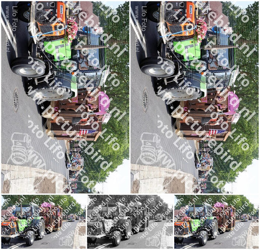 Evenement foto: 2620