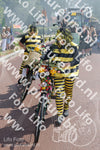 Evenement foto: 2619