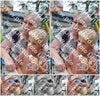 Evenement foto: 2619