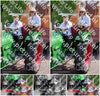 Evenement foto: 2619