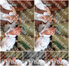 Evenement foto: 2619