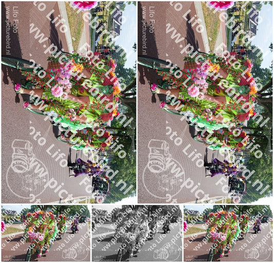 Evenement foto: 2618