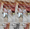 Evenement foto: 2618