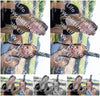 Evenement foto: 2617