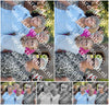 Evenement foto: 2615