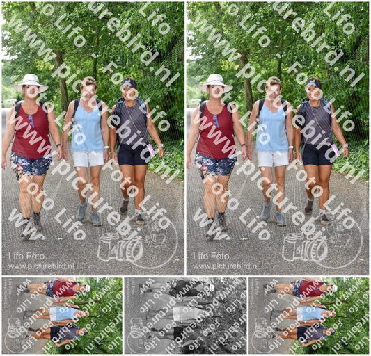 Evenement foto: 858