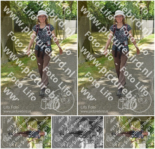 Evenement foto: 857