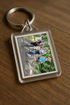 Evenement foto: 857