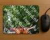 Evenement foto: 857