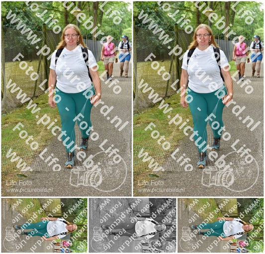 Evenement foto: 857